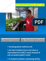 1.0 Hydroponic Set Up and Report Assignment