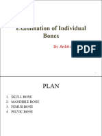 Medico-Legal Examination of Individual Bones