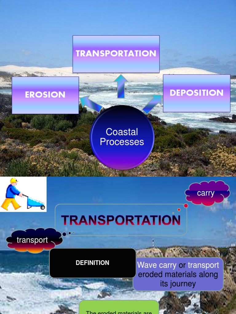 Transportation: Coastal Processes | PDF
