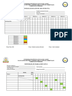 Formatos Practicas de Externado-1