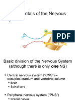 Lecture 12 - Fundamentals of The Nervous System