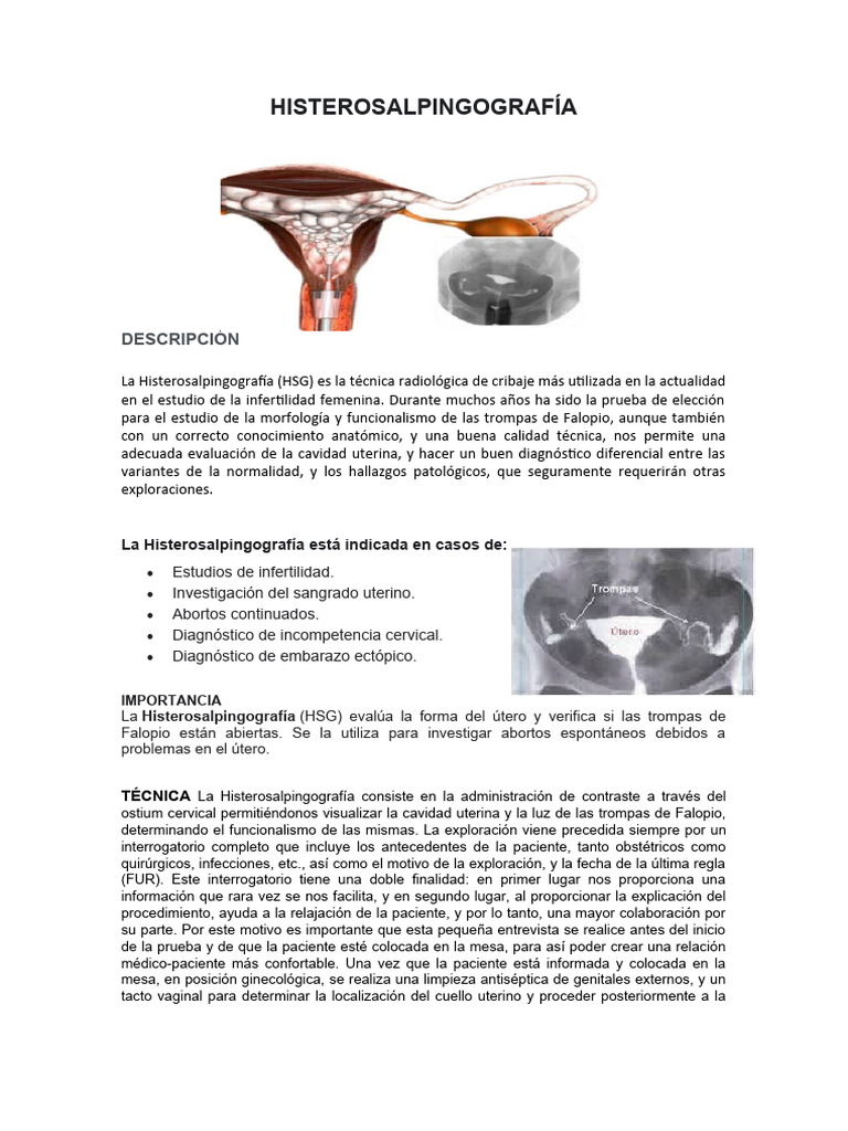 Set Isterosalpingografia Generico – Usato In Buono Stato, Ideale Per Esercitazioni E Test Diagnostici