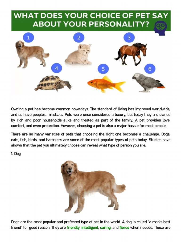 What Does Your Choice Of Pet Say About You PDF