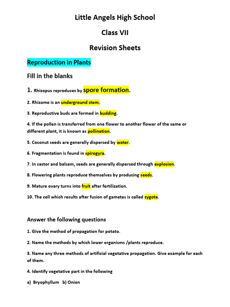 Term 2 Revision Sheets 1 Pdf Biology Plants