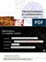 Trypanosoma Leishmania 2022