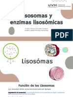 Lisosomas y Enzimas Lisosomicas