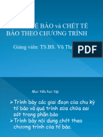 CHU KY TE BAO VÀ Chết TB theo CT-Hệ CN