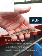 Rioni River Sturgeon Report V6.en