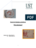 Guia Microbiologia Practico Revisada 2010-1
