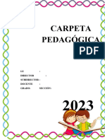 Carpeta Pedagogica 2024