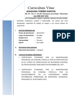 Curriculum - Joaquina Torres Dantas CV