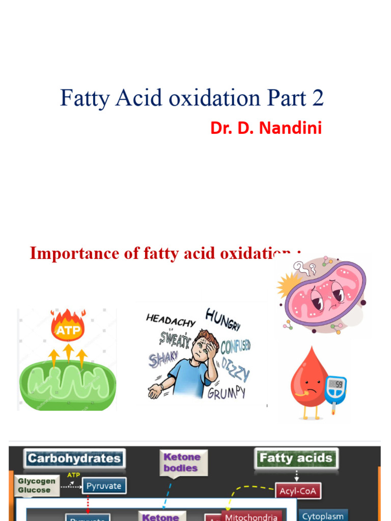 Fatty Acid Oxidation Part 2 | PDF | Hypoglycemia | Metabolism