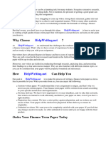 Finance Term Paper Sample
