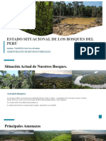 Estado Situacional de Los Bosques Del Perú-Valdivia