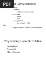 What Is Programming?