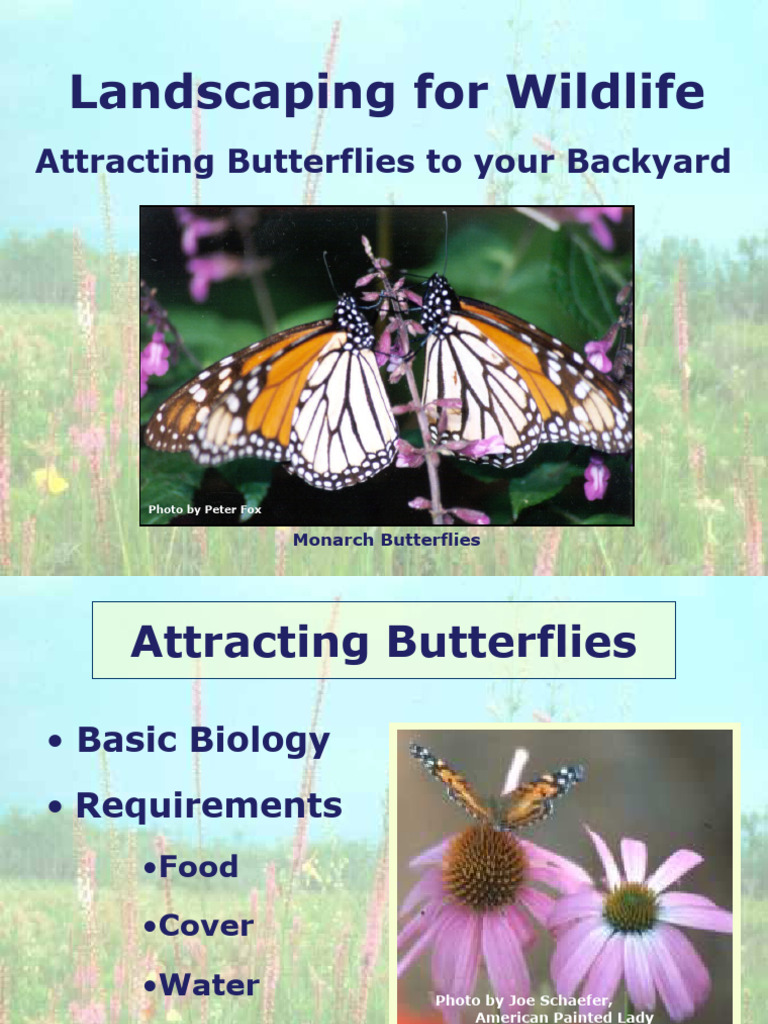 Landscaping For Butterflies | PDF | Butterfly | Lepidoptera