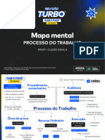 Mapa Mental RT 35o Exame Processo Do Tra-1