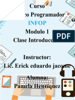 Tarea Curso Programador Pamela Henriquez