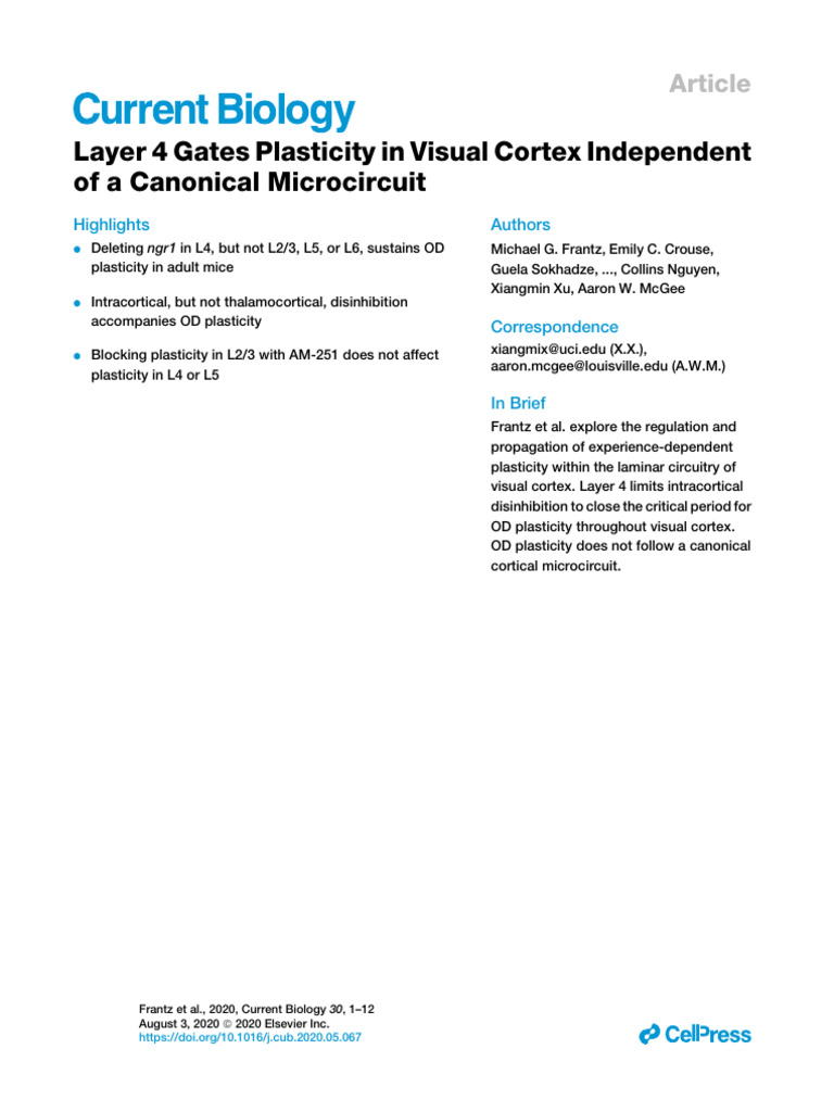 Layer 4 Gates Plasticity in Visual Cortex Independent of A Canonical ...