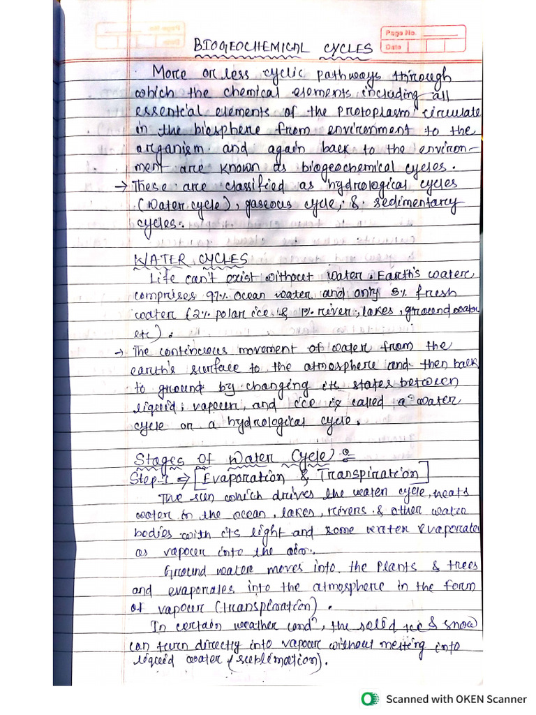 Biochemical Cycle Pdf