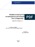 Stadiul Actual Privind Recunoasterea Per