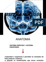 Livros Do SISTEMA NERVOSO/ Atlas de Histologia