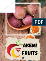 Akemi Fruits Portfolio