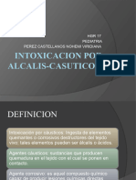 Ingesta de Alcalis