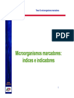 Microorganismos - Marcadores