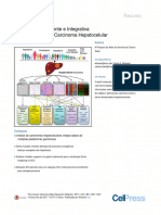 Cell LIHC Traduzido