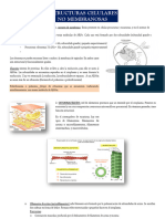 5 - Estructuras Celulares No Membranosas
