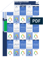 Reporte de Velocidades F.liviana Enero-1