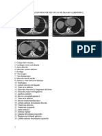 Prácticas de Anatomía Por Técnicas de Imagen