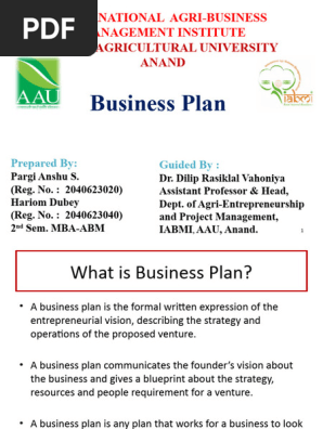Mitali- Business Plan