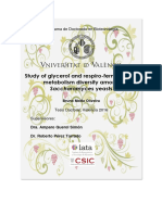 Study of Glycerol and Respiro Fermentative Metabolism Diversity Among Saccharomyces Yeasts
