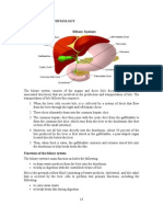 Iv. Anatomy and Physiology