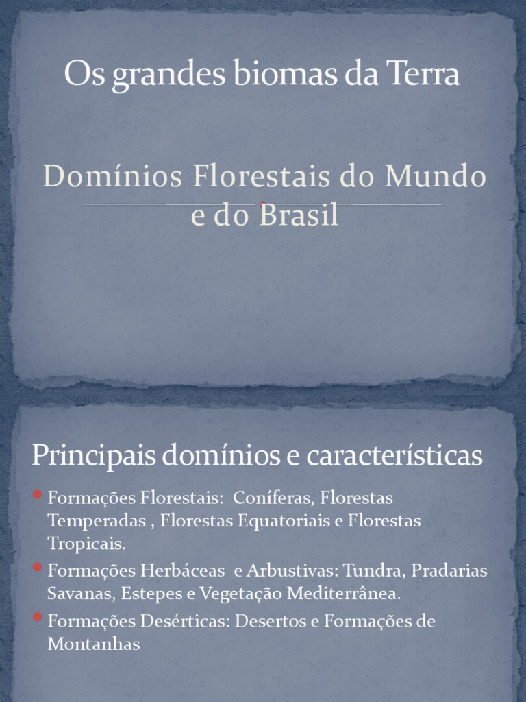Principais Biomas do Mundo e Brasil | PDF | Mangue | Florestas