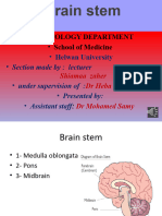 4 - Medulla ..Section - Audio