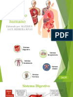 El Cuerpo Humano