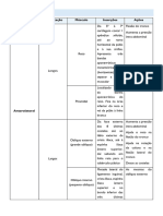 Resumos de Anatomia - 3º Teste.