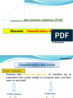 Classification - Fruit