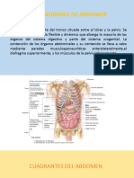 Exposición de Anatomía