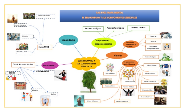 Mapa Mental El Ser Humano y Sus Componentes Esenciales | Descargar
