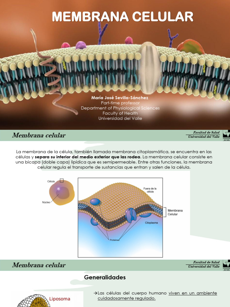 Membrana celular_MJSS | PDF | Membrana celular | Lípido