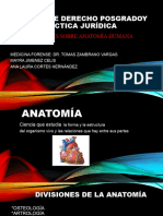 Presentacion Anatomía Humana