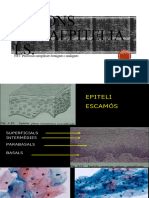 Lesions Intraepitelials 2