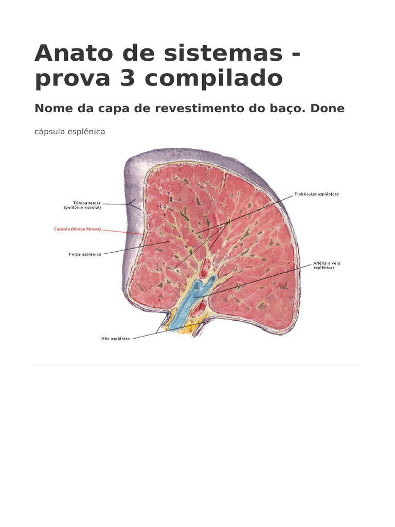 Compilado prova 3 pdf