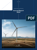 Cip Annual Report 2022