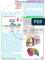 TEO 21 y 25 FISIOLOGIA Y HEP. CRON