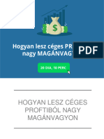 Hogyan Lesz Ceges Profitbol Nagy Maganvagyon